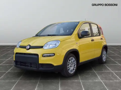 Annonce FIAT PANDA Hybride 2024 d'occasion 