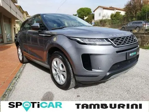 Used LAND ROVER RANGE ROVER EVOQUE Hybrid 2021 Ad 