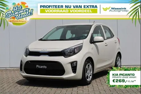 Used KIA PICANTO Petrol 2024 Ad 