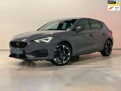 Annonce CUPRA LEON Hybride 2022 d'occasion 