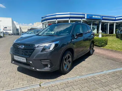 Annonce SUBARU FORESTER Hybride 2023 d'occasion 