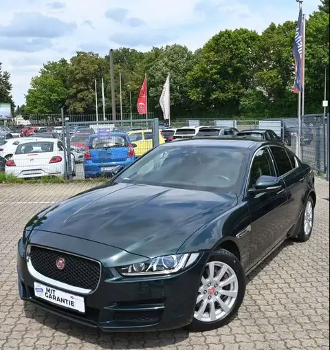 Used JAGUAR XE Petrol 2016 Ad 