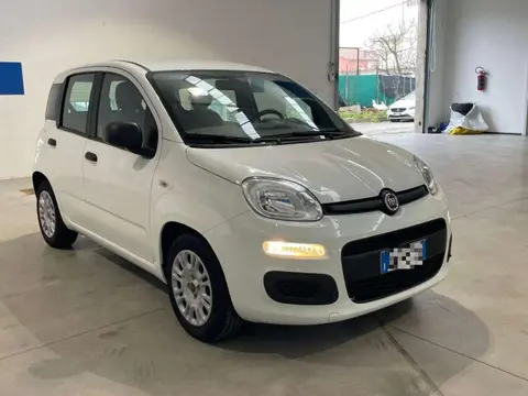 Annonce FIAT PANDA Hybride 2021 d'occasion 