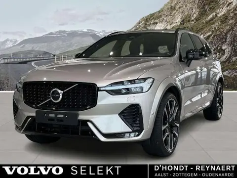 Used VOLVO XC60 Hybrid 2023 Ad 