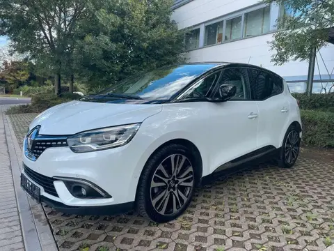 Used RENAULT SCENIC Diesel 2018 Ad 