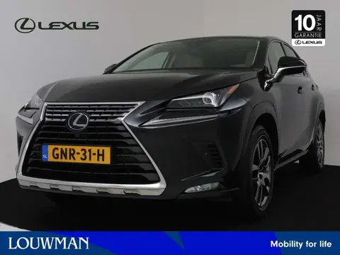 Used LEXUS NX Hybrid 2020 Ad 