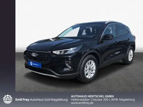 Annonce FORD KUGA Essence 2024 d'occasion 