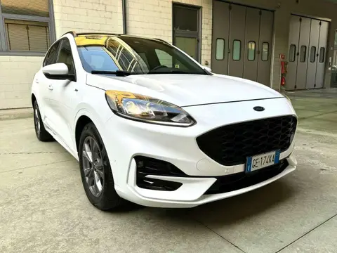 Used FORD KUGA Hybrid 2021 Ad 