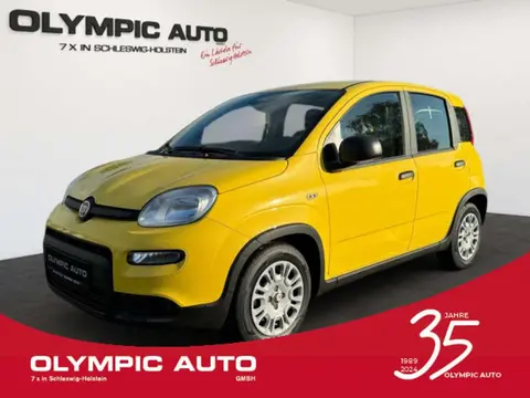 Annonce FIAT PANDA Essence 2024 d'occasion 