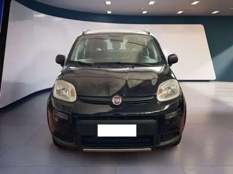 Used FIAT PANDA Petrol 2021 Ad 