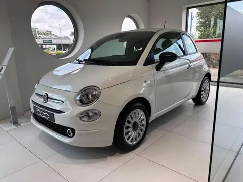 Used FIAT 500 Hybrid 2024 Ad 