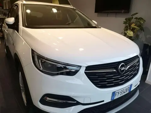 Annonce OPEL GRANDLAND Diesel 2019 d'occasion 