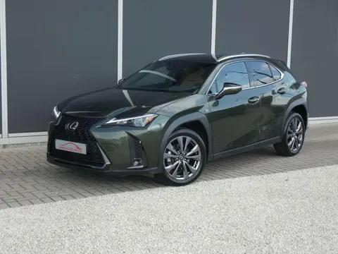 Annonce LEXUS UX Hybride 2023 d'occasion 