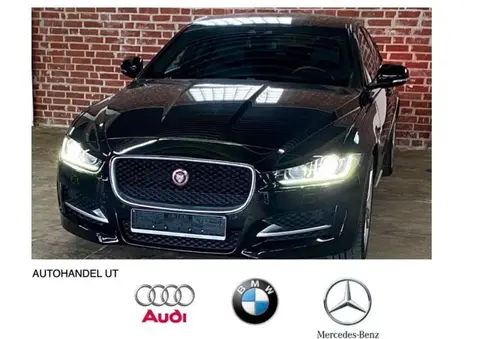 Used JAGUAR XE Diesel 2015 Ad 