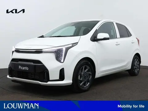 Used KIA PICANTO Petrol 2024 Ad 