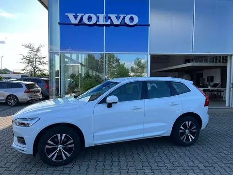 Used VOLVO XC60 Diesel 2020 Ad 