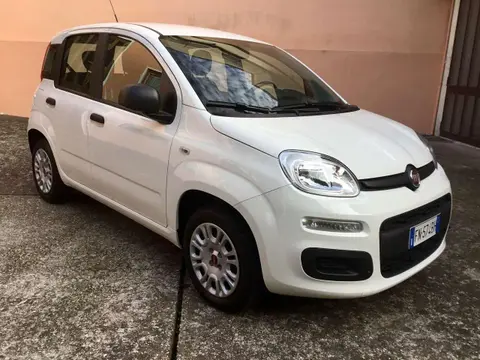 Annonce FIAT PANDA Essence 2018 d'occasion 