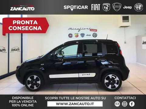 Used FIAT PANDA Hybrid 2024 Ad 