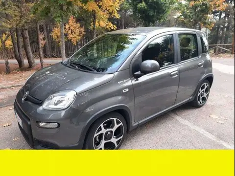 Annonce FIAT PANDA  2021 d'occasion 