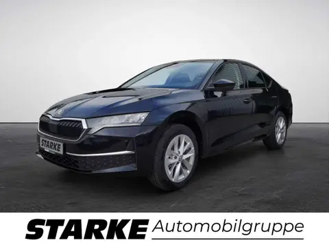 Used SKODA OCTAVIA Diesel 2024 Ad 