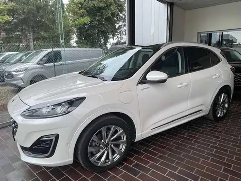 Annonce FORD KUGA Hybride 2021 d'occasion 