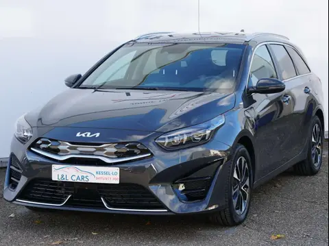 Annonce KIA CEED Hybride 2023 d'occasion 