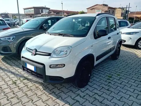 Annonce FIAT PANDA Essence 2019 d'occasion 