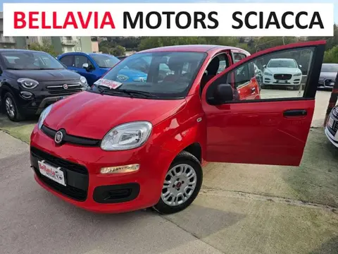 Used FIAT PANDA Petrol 2019 Ad 