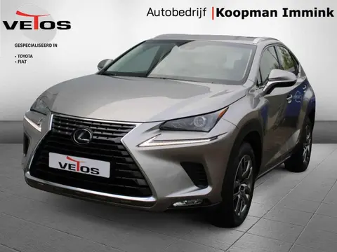 Used LEXUS NX Hybrid 2018 Ad 