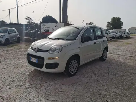 Used FIAT PANDA Petrol 2020 Ad 