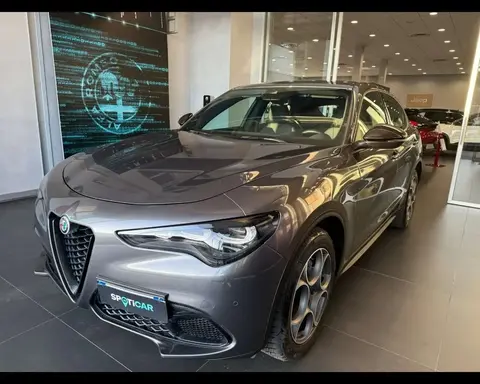 Used ALFA ROMEO STELVIO Diesel 2024 Ad 