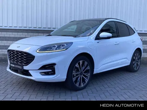 Annonce FORD KUGA Hybride 2023 d'occasion 