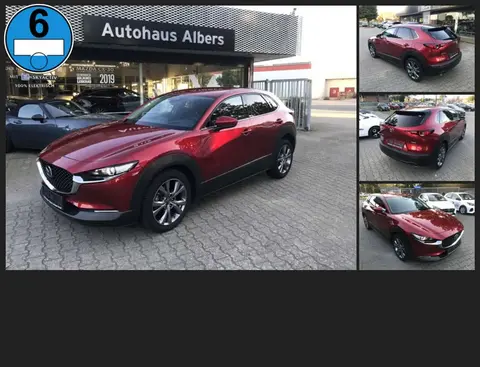 Used MAZDA CX-30 Petrol 2020 Ad Germany