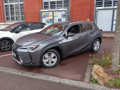 Used LEXUS UX Hybrid 2020 Ad 