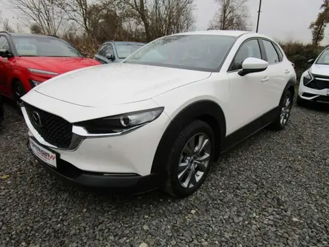 Used MAZDA CX-30 Petrol 2022 Ad 