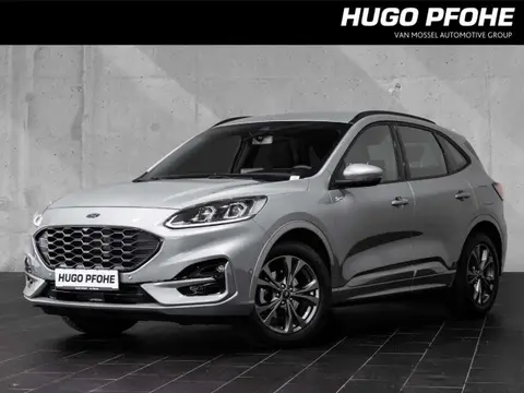 Annonce FORD KUGA Essence 2023 d'occasion 