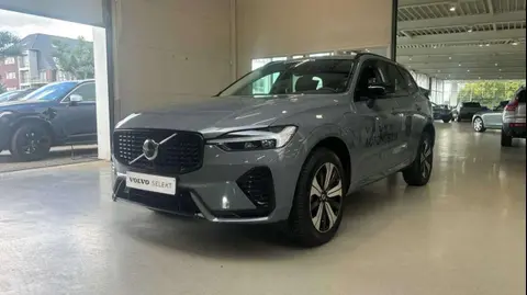 Annonce VOLVO XC60 Hybride 2023 d'occasion 