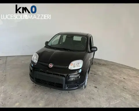 Annonce FIAT PANDA Diesel 2024 d'occasion 