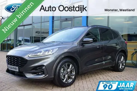 Annonce FORD KUGA Hybride 2023 d'occasion 