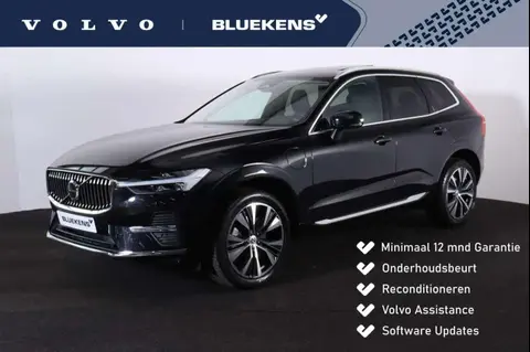 Used VOLVO XC60 Hybrid 2021 Ad 