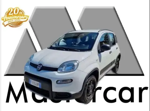 Annonce FIAT PANDA Essence 2019 d'occasion 