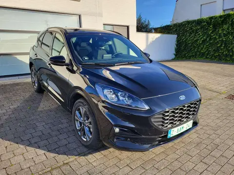 Used FORD KUGA Hybrid 2023 Ad 