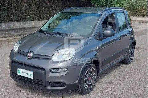 Annonce FIAT PANDA Hybride 2021 d'occasion 