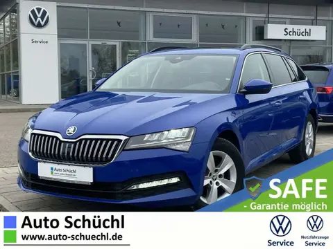 Annonce SKODA SUPERB Diesel 2019 d'occasion 