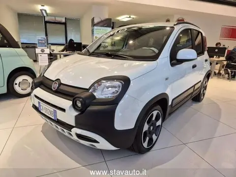 Used FIAT PANDA Hybrid 2024 Ad 