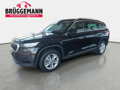 Used SKODA KODIAQ Diesel 2023 Ad 