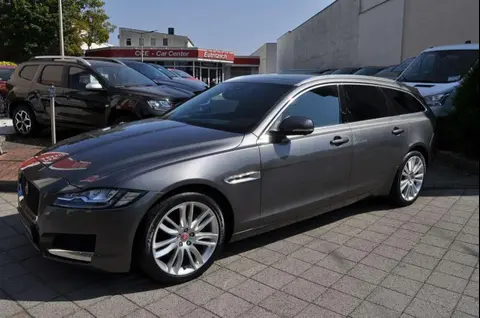 Used JAGUAR XF Diesel 2018 Ad 