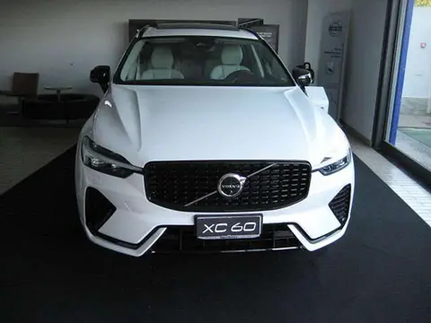 Used VOLVO XC60 Petrol 2024 Ad 