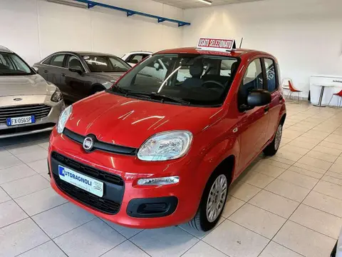 Used FIAT PANDA Petrol 2020 Ad 