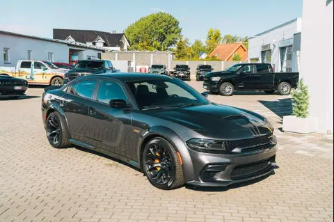 Used DODGE CHARGER Petrol 2024 Ad 